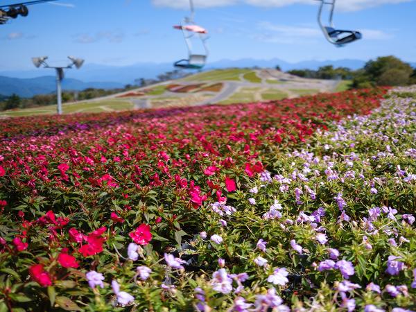 ที่ราบสูงภูเขาชาอุสึ