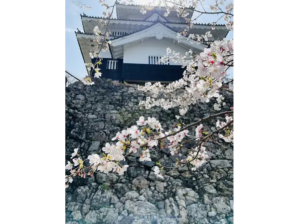 吉田城春まつり