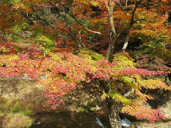 定光寺　定光寺公園