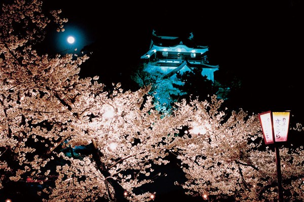 Okazaki Castle