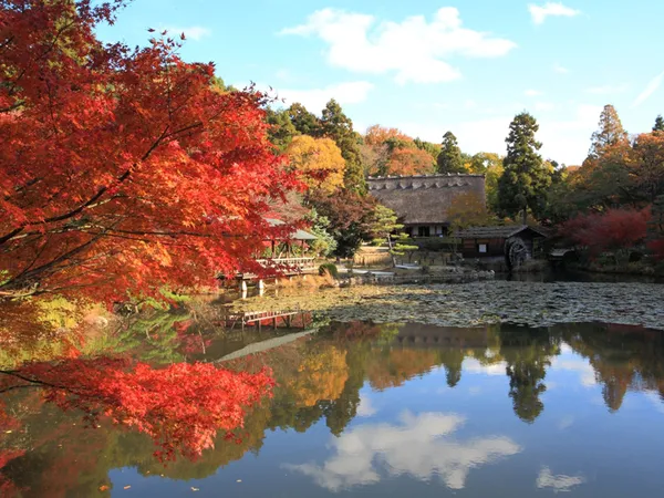 東山動植物園　もみじ狩り