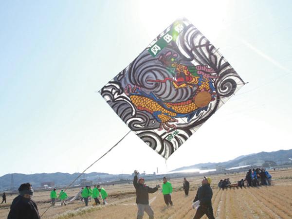 幸田风筝节