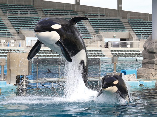 Port of Nagoya Public Aquarium