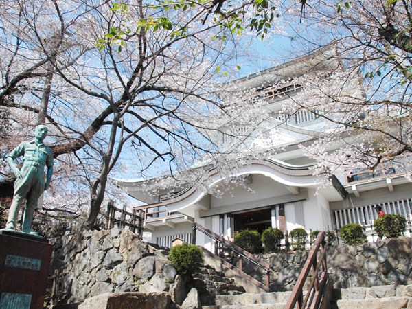 小牧山櫻花節