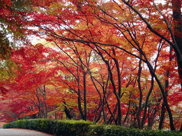 東公園