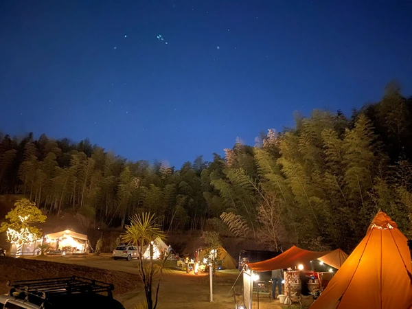 CAMP LOVE