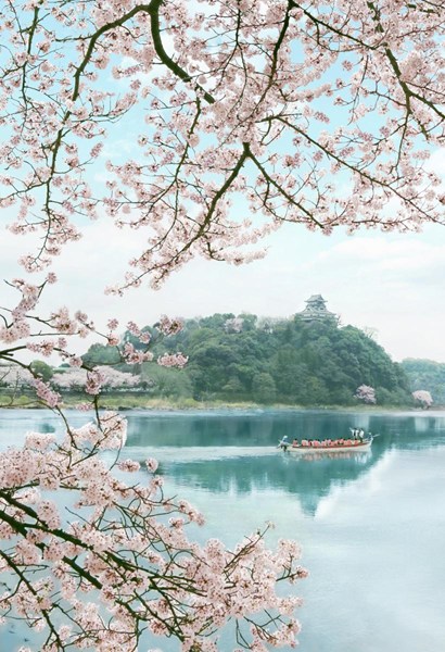 Inuyama Castle Pleasure Boat