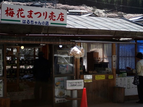 川賣的梅花節
