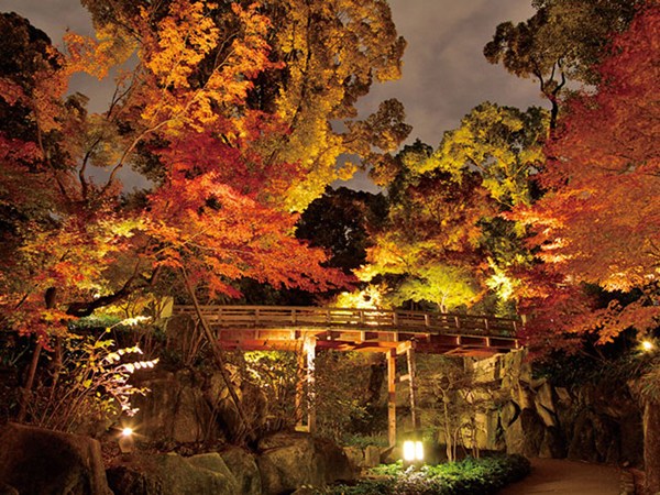 สวนโทคุกาวะ