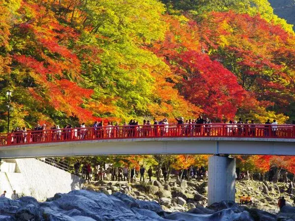 香嵐溪紅葉節