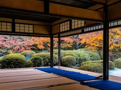 丈山苑