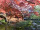 紅葉のおもてなし　もみじまつり