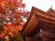 普門寺もみじ祭り