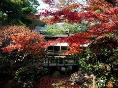 西尾城と旧近衛邸（西尾市歴史公園）