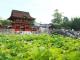 伊賀八幡宮