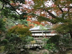 西尾城と旧近衛邸（西尾市歴史公園）
