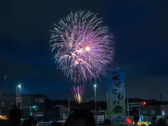せともの祭