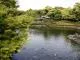 白鳥庭園