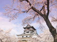 国宝 犬山城