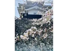 吉田城春まつり
