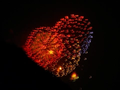 中村公園夏まつり