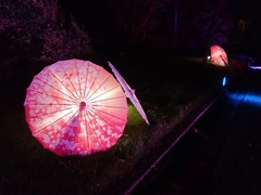 デンパーク仲秋のあかり祭_03