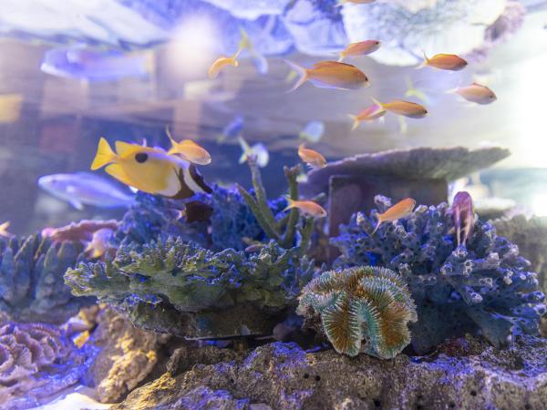 愛知の海の幸と景色を楽しむ旅