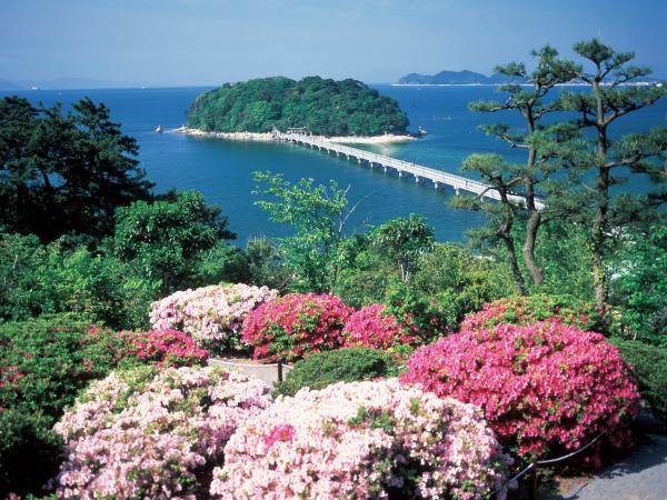 愛知の海の幸と景色を楽しむ旅