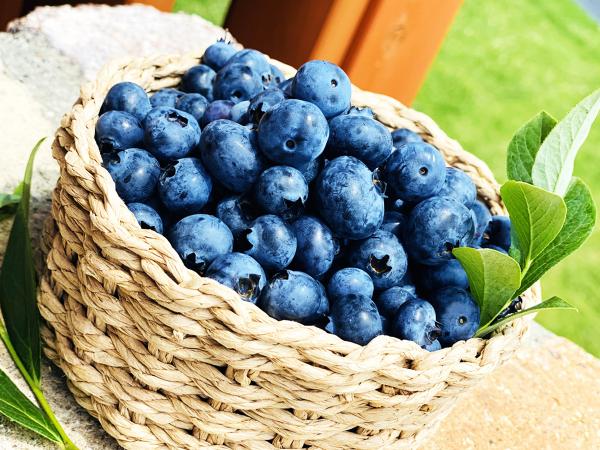 Blueberries