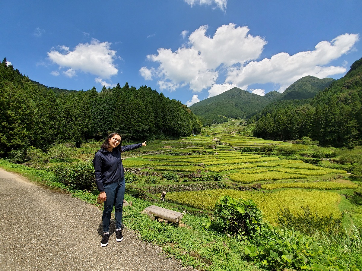 Thousand Rice Paddies of Yotsuya