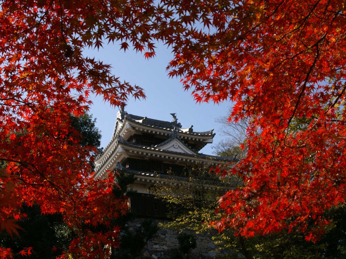 Nishio Castle