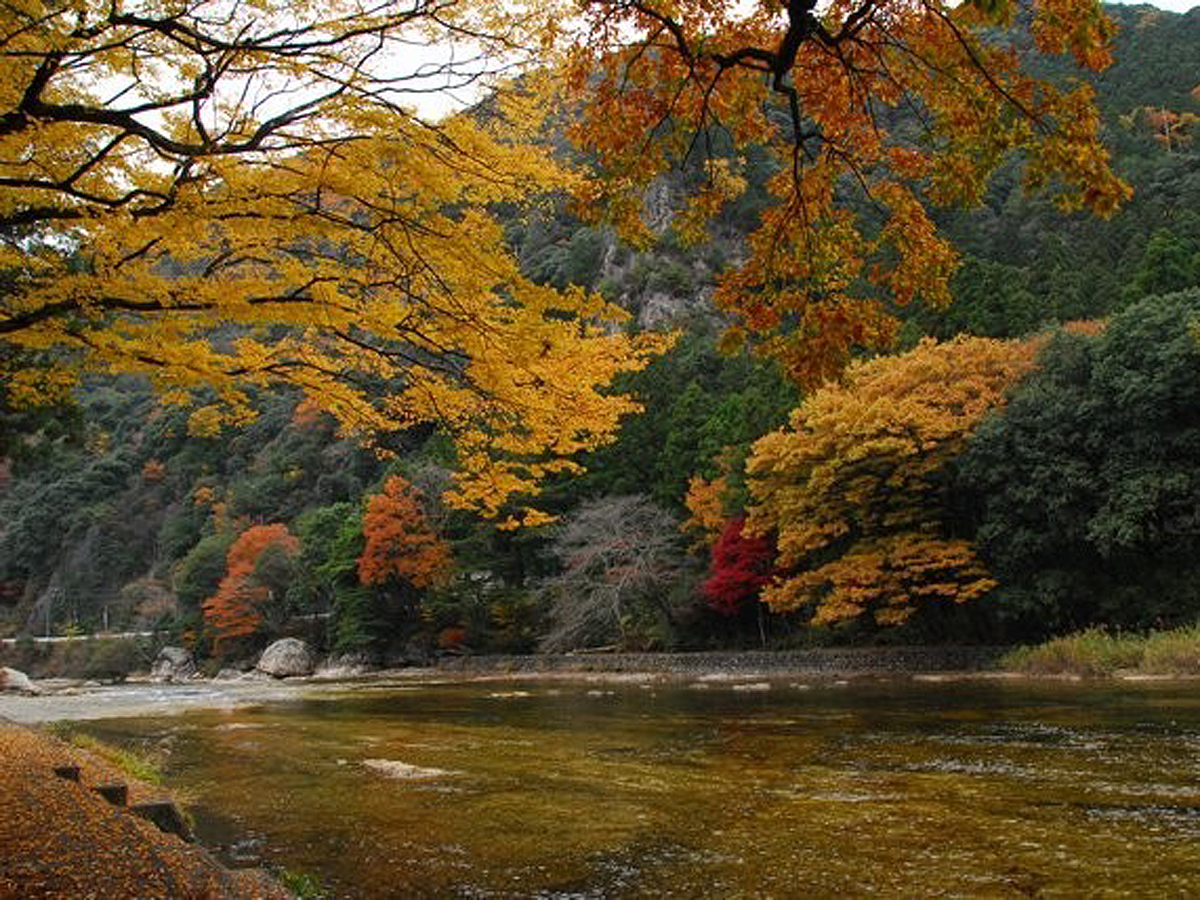 鳳來峽・板敷川