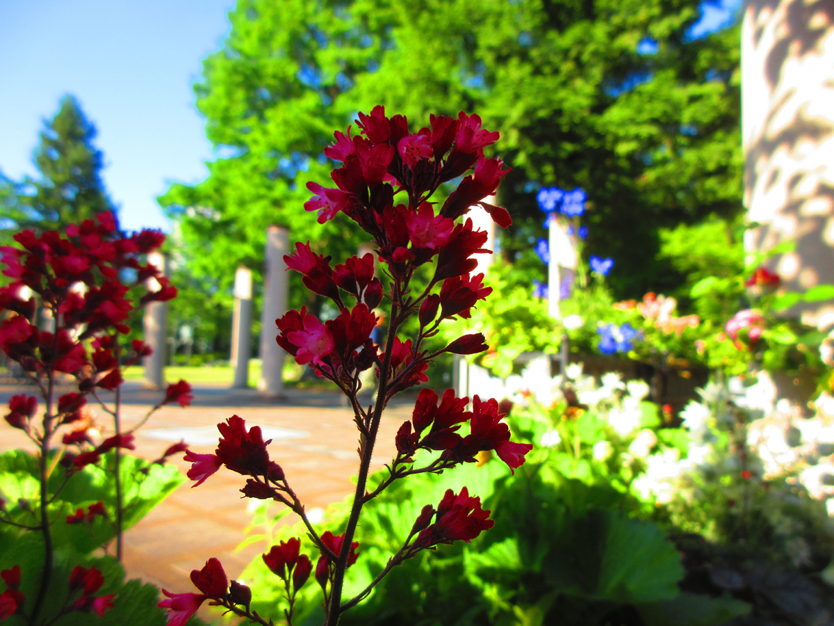 久屋大通庭園Flarie