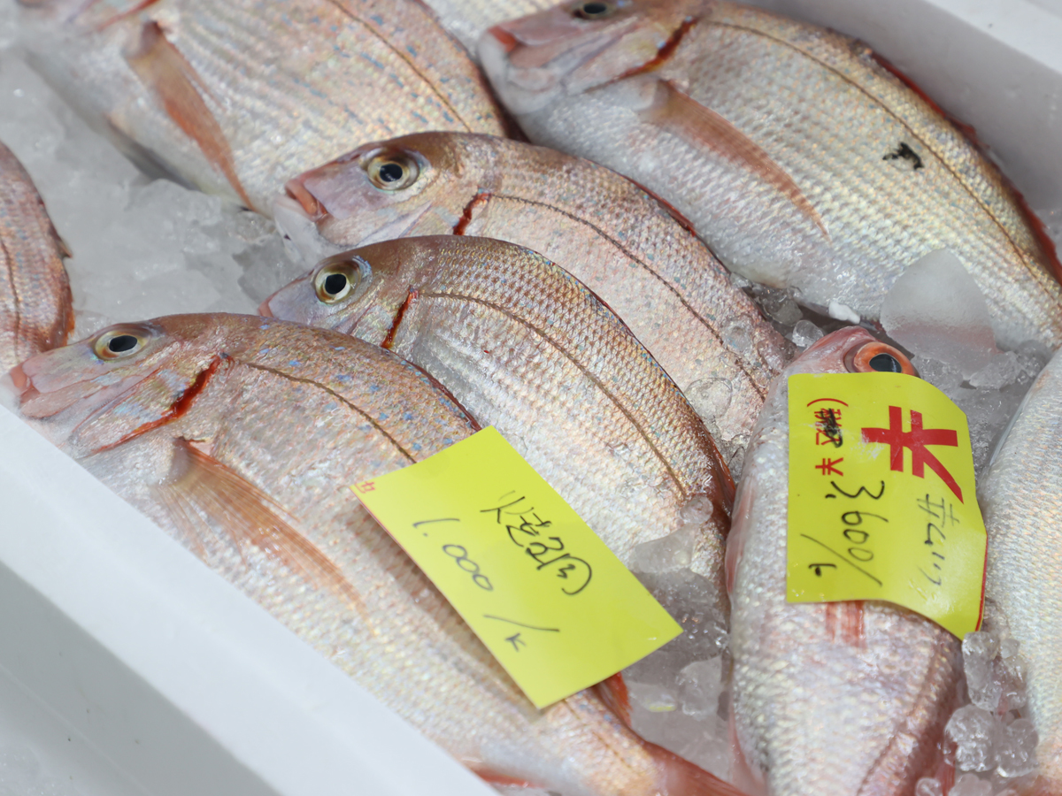 Yanagibashi Central Market