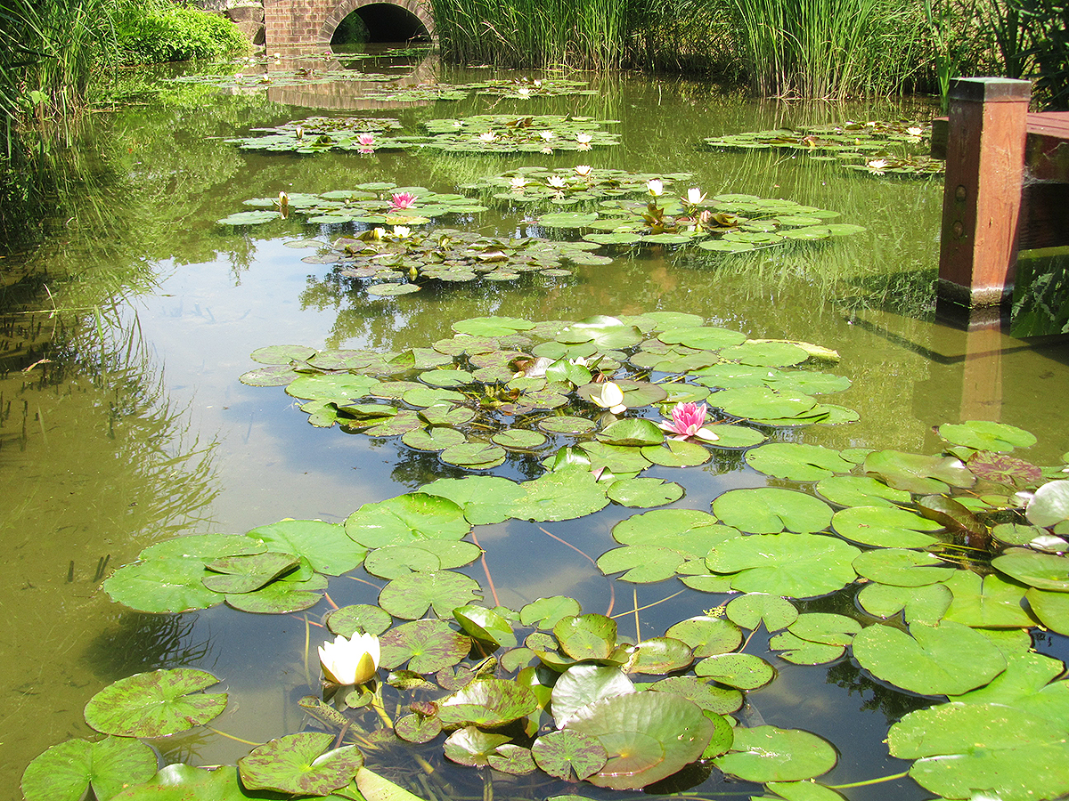 丰桥综合动植物园（Non hoi公园）