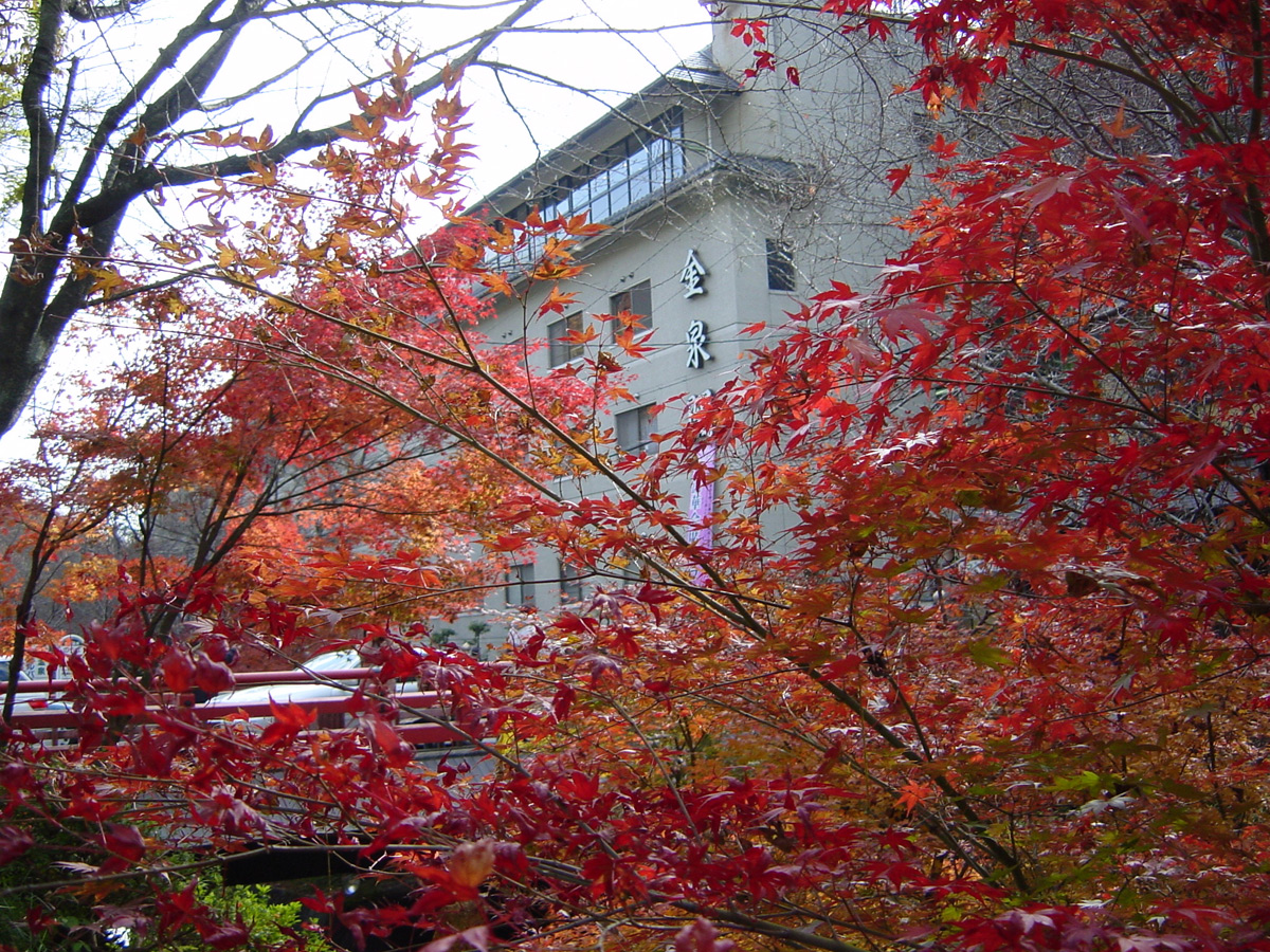 Sanage Onsen Hot Spring