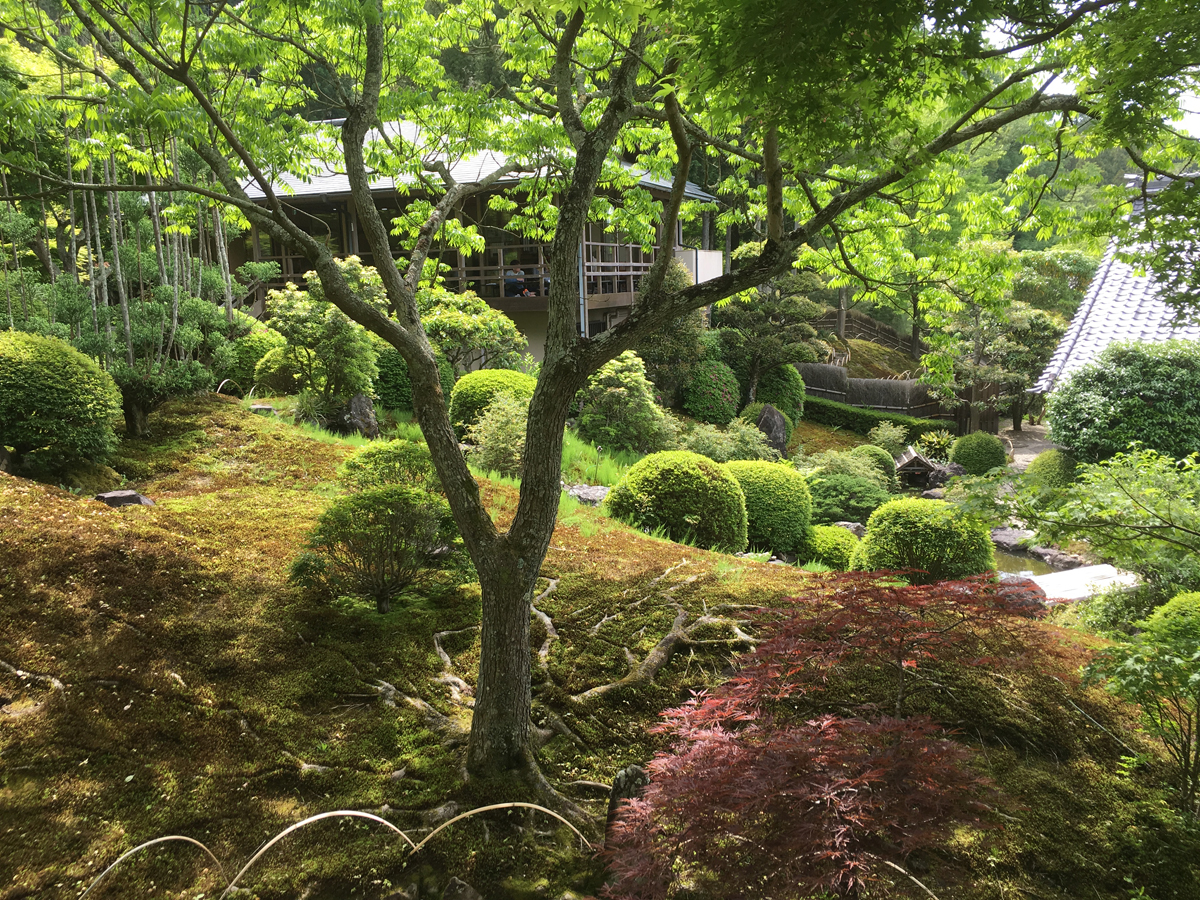 Okutono Jinya