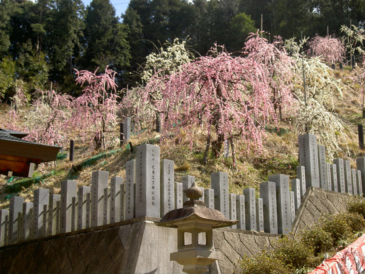 大县神社
