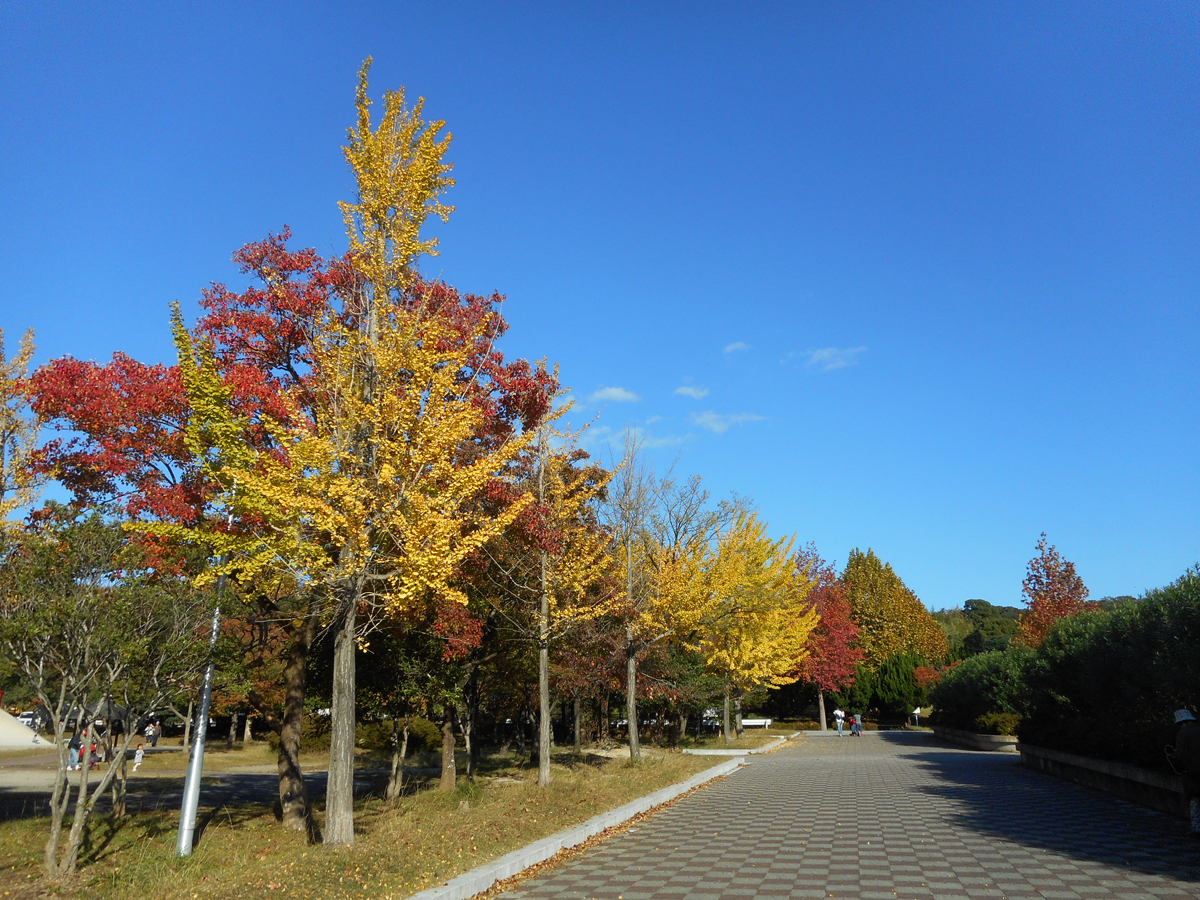 Odaka Greenery Park