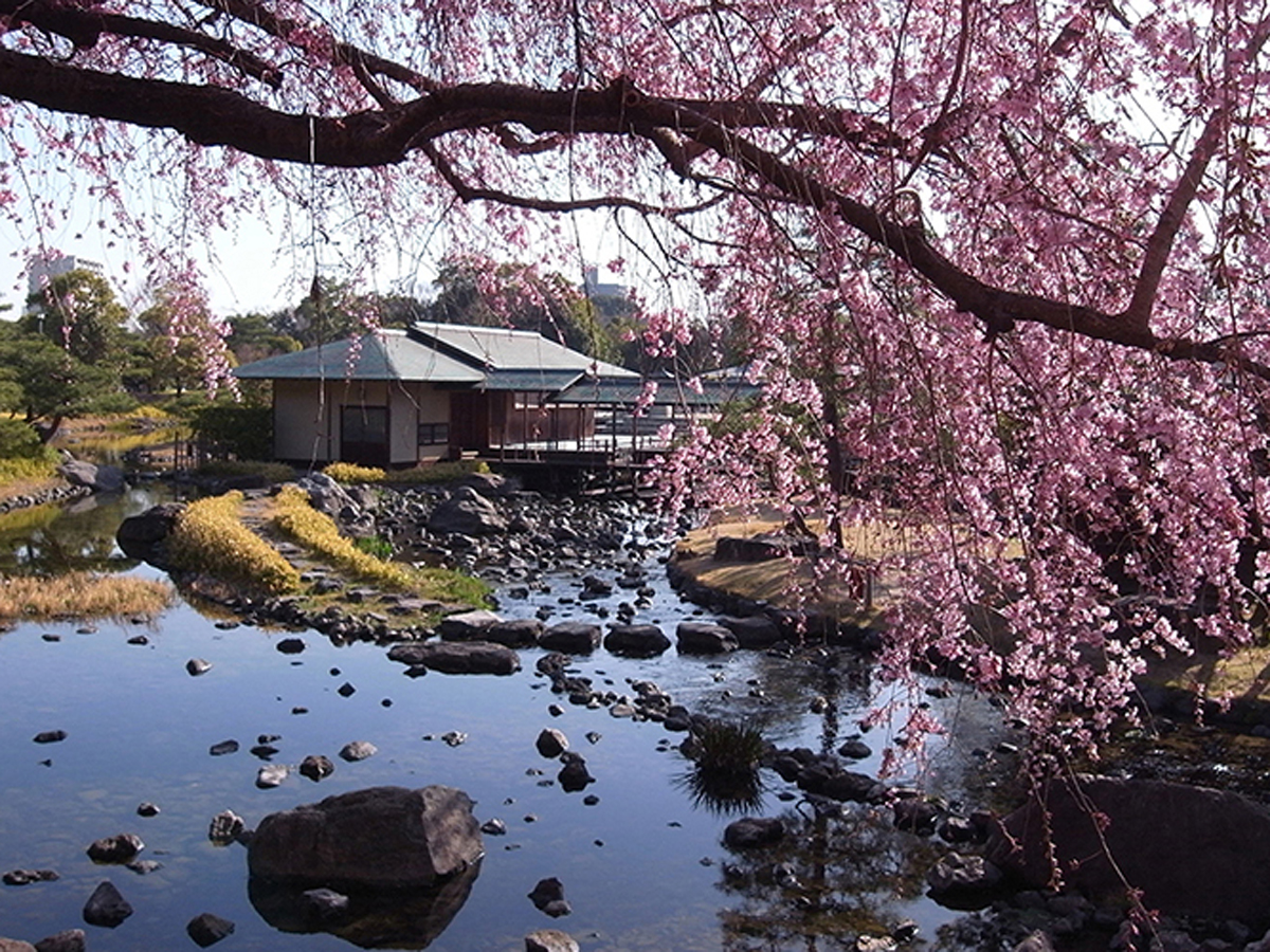 시로토리 정원