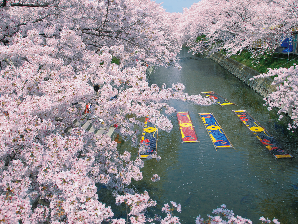 五条川