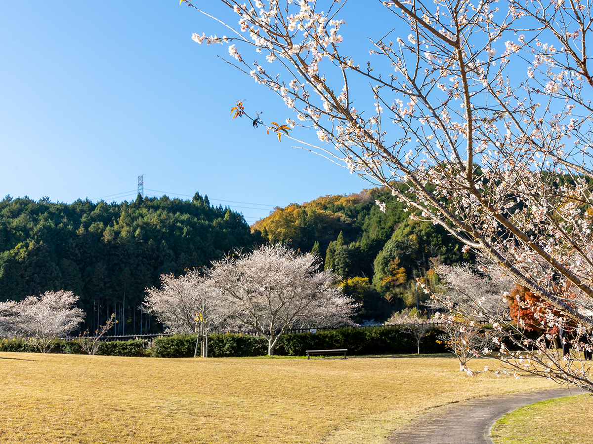 Obara Fureai Park