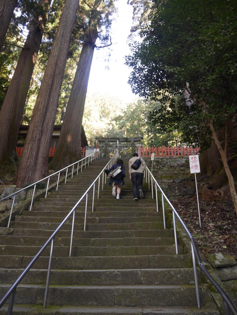 凤来山东照宫