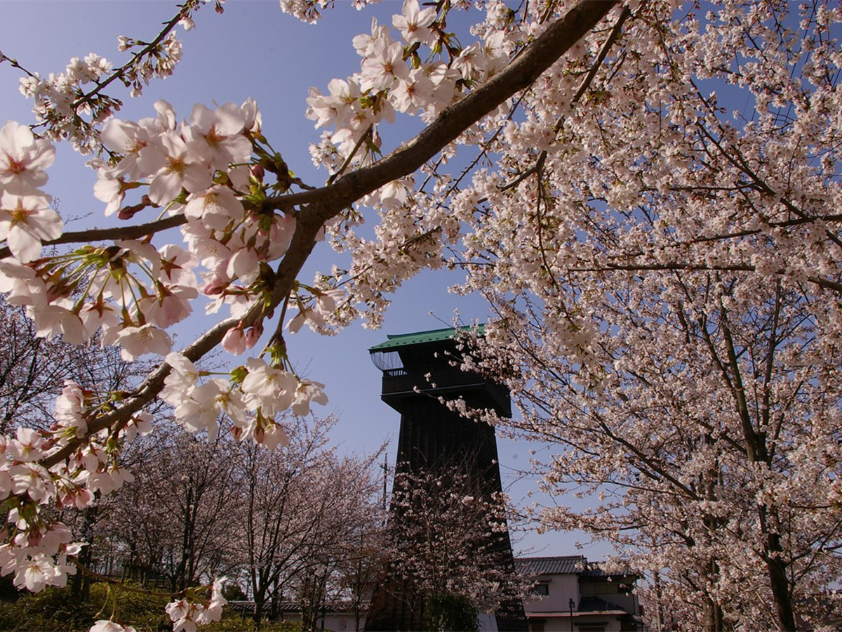 小口城址公園