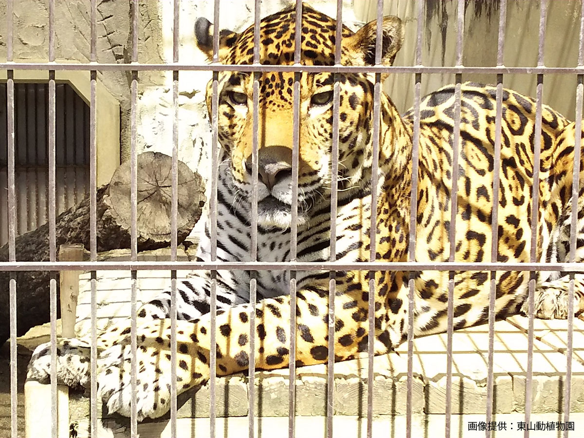 東山動植物園