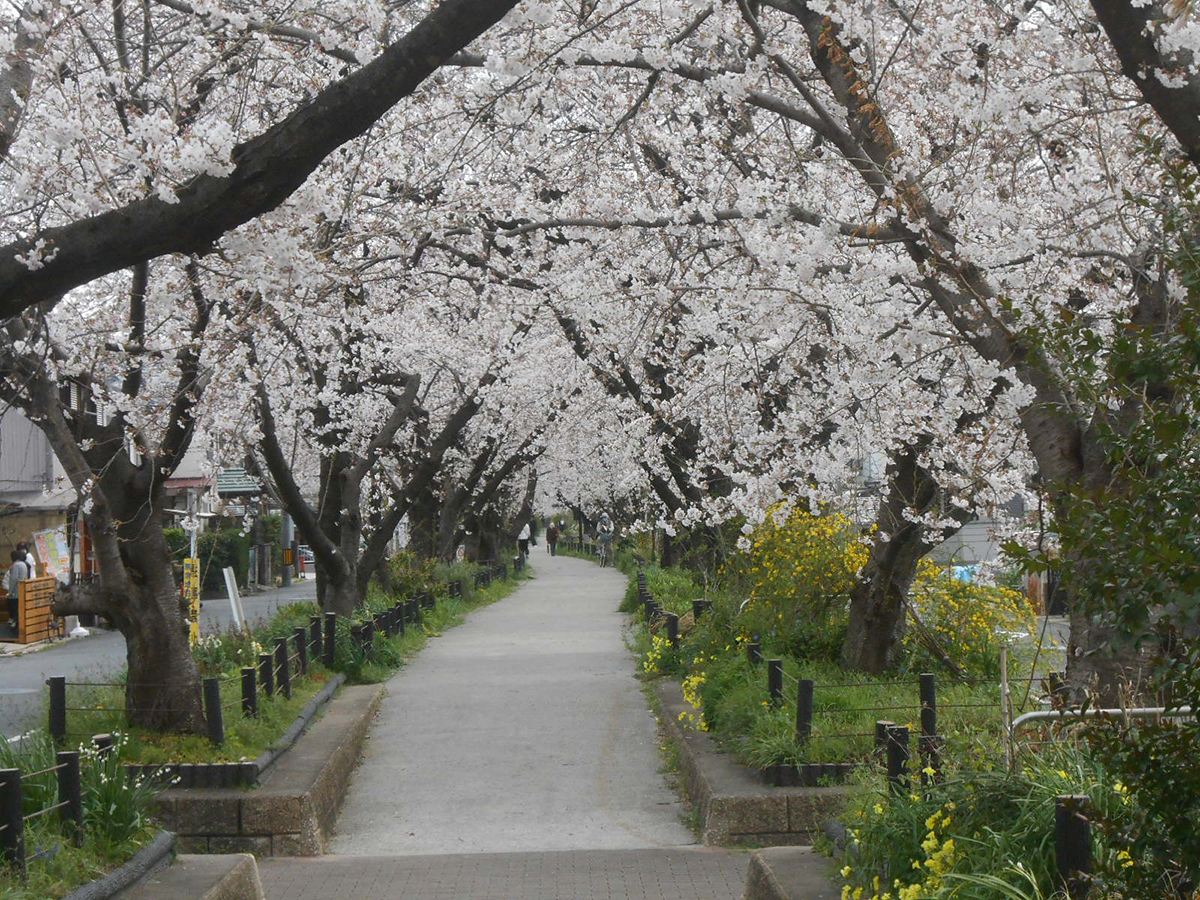 尾張広域緑道フレッシュパーク