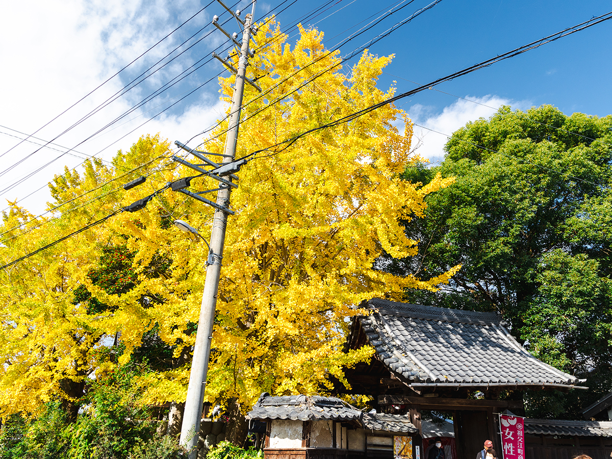 祐専寺
