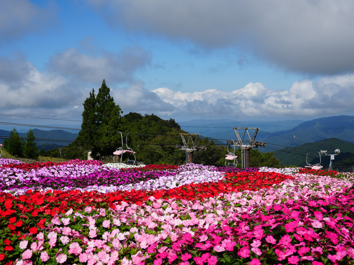 茶臼山高原