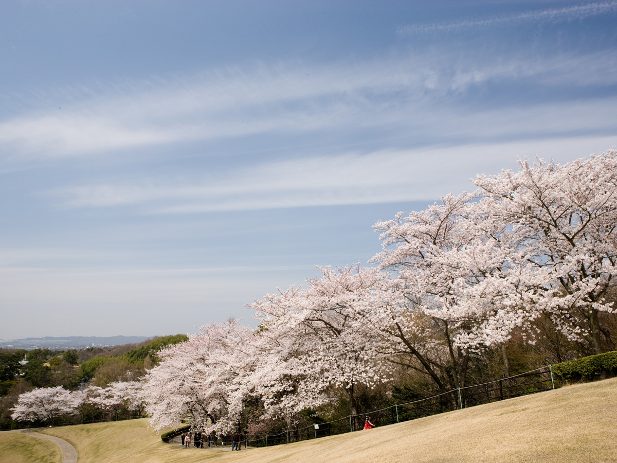 鞍ケ池公園