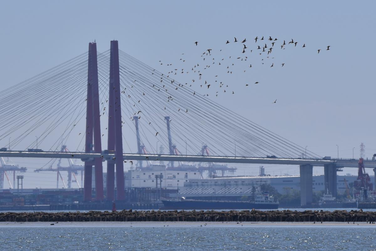 名古屋市野鳥観察館